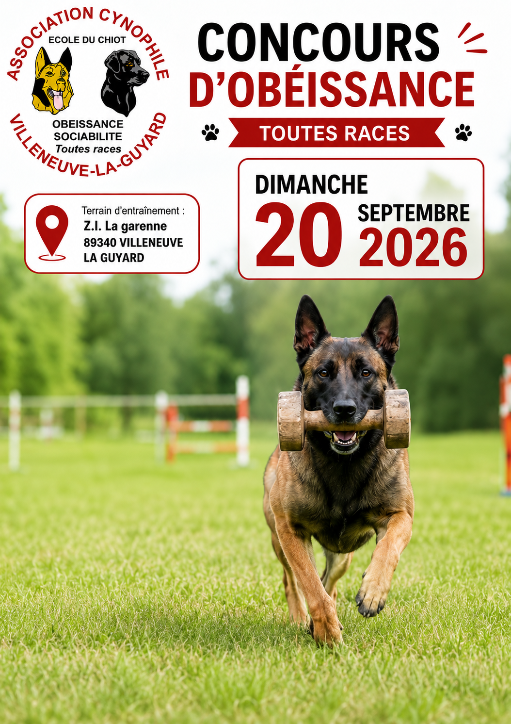 Concours d'obéissance