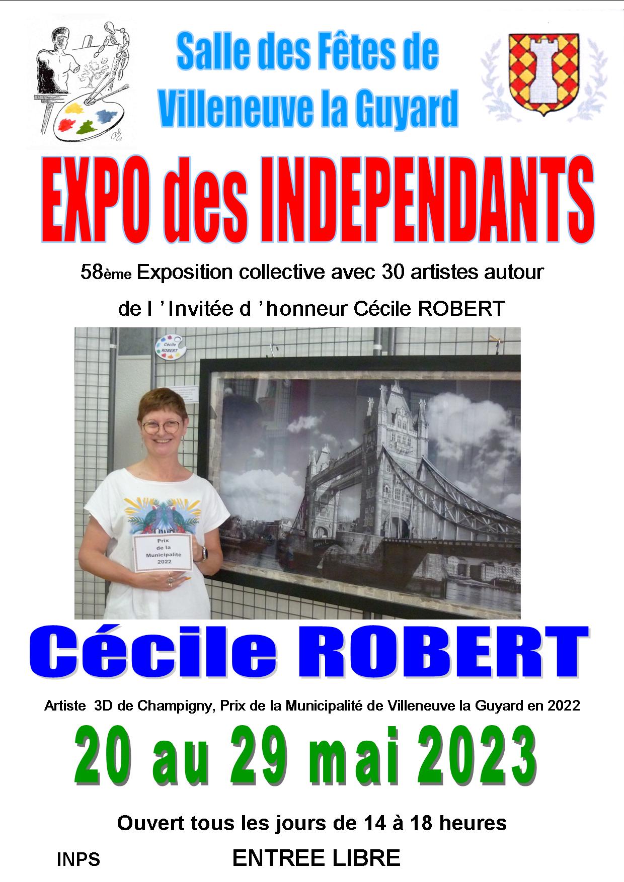 Expo des indépendants - villeneuve la Guyard